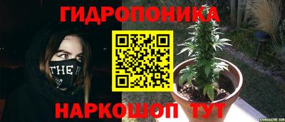 прущие крисы Ангарск