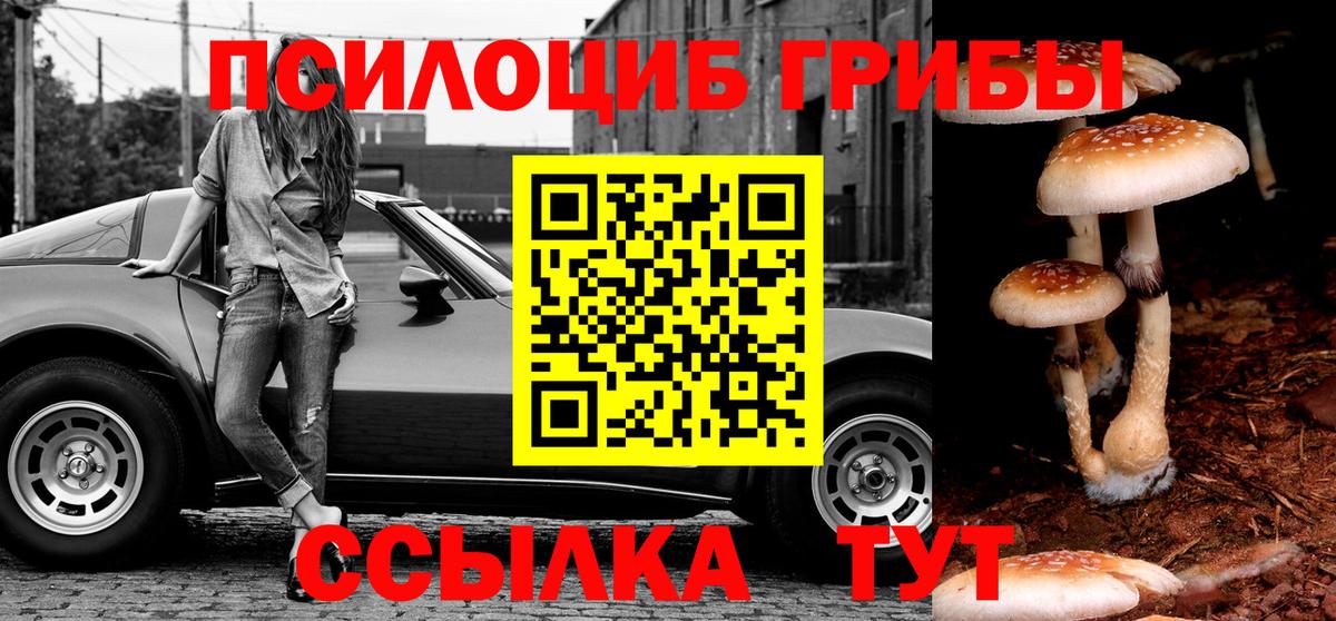 Ипатово  цена   Галлюциногенные грибы Psilocybe  Вход с VPN  Галлюциногенные грибы GOLDEN TEACHER 
