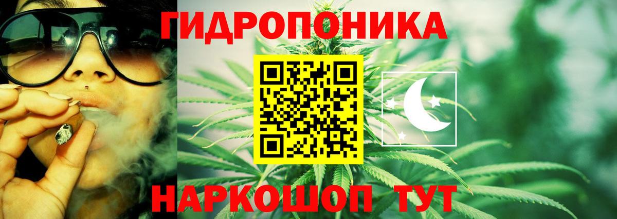 Конопля конопля Ипатово